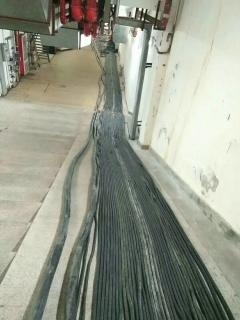 伊春地區(qū)120平電纜與光纜臨時用電租賃服務(wù)詳解